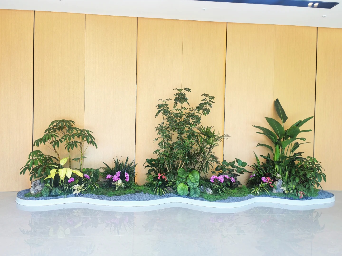 专业的鄞州植物租摆，为空间注入生机与自然之美！
